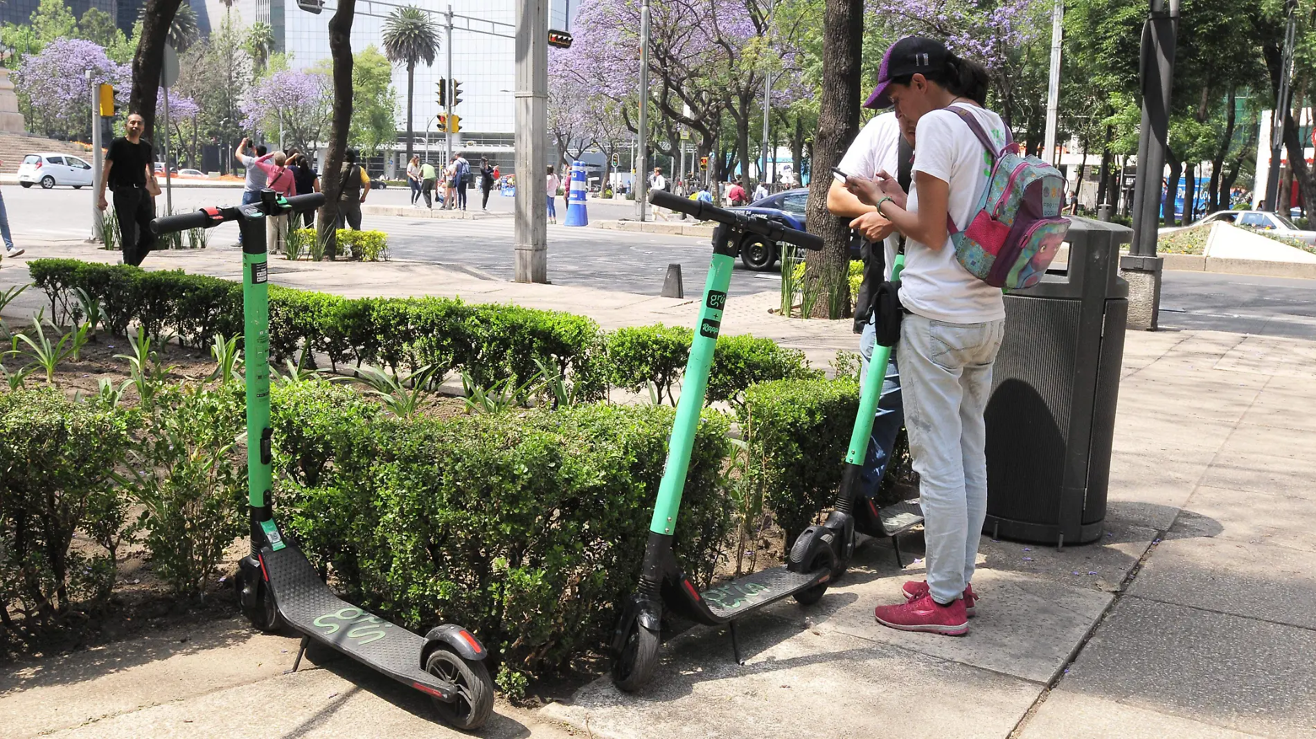 PATINES SOBRE REFORMA (4)